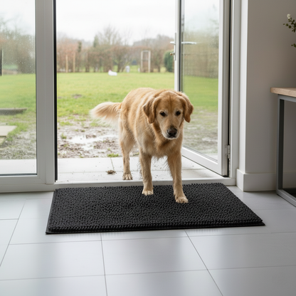 Tapis - Patte’Clean