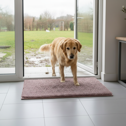 Tapis - Patte’Clean
