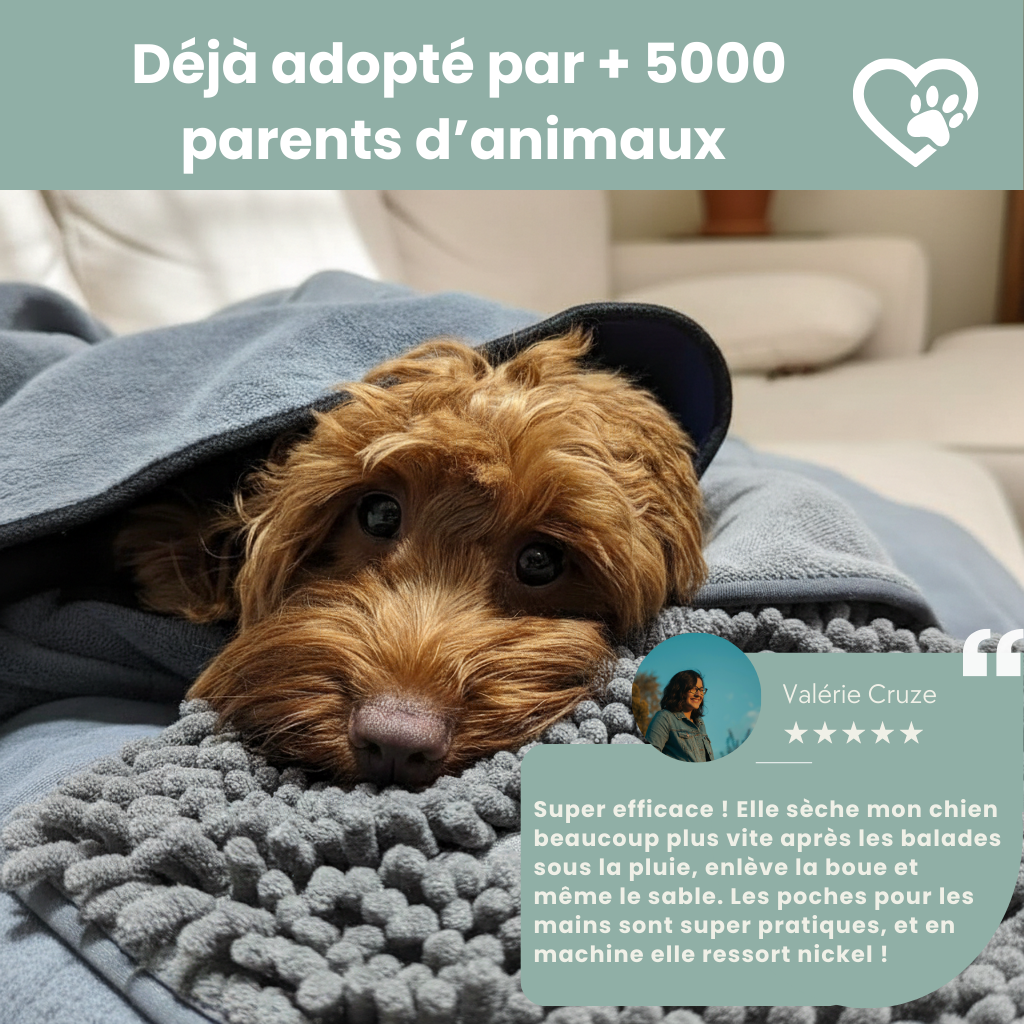 Serviette - Clean'Dog