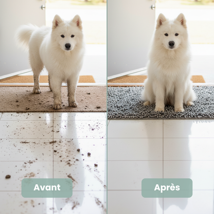 Tapis Patte’Clean