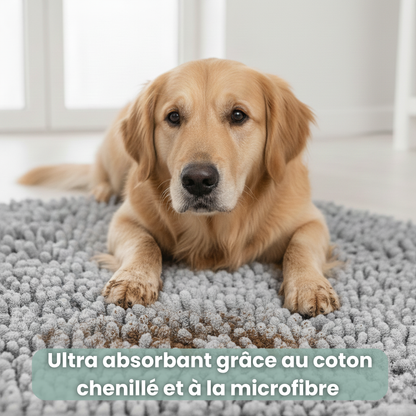 Tapis Patte’Clean