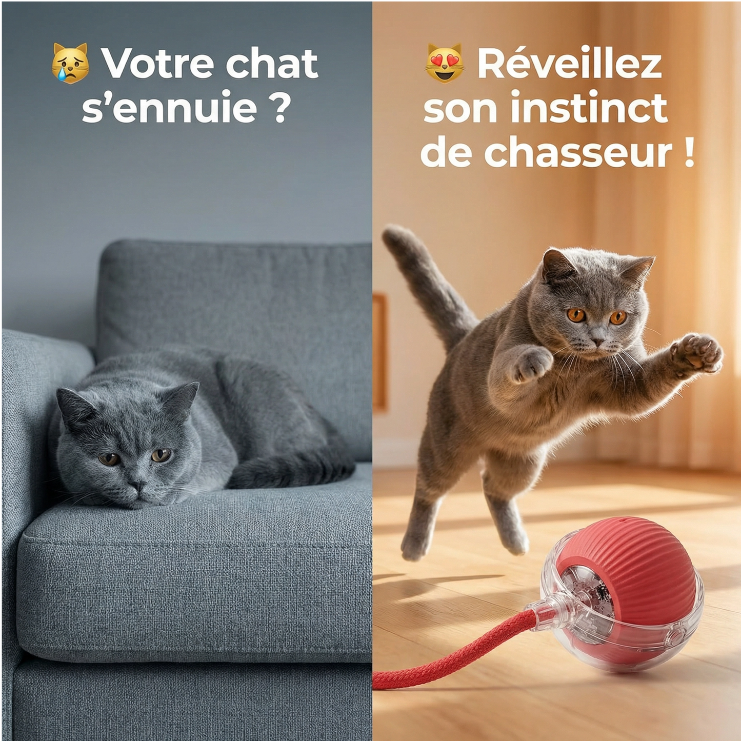 Balle Interactive Pour Chat/Chien