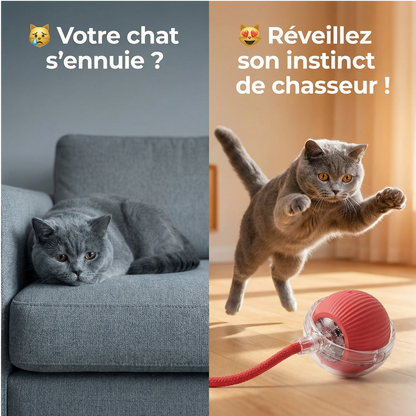 Balle Interactive Pour Chat/Chien