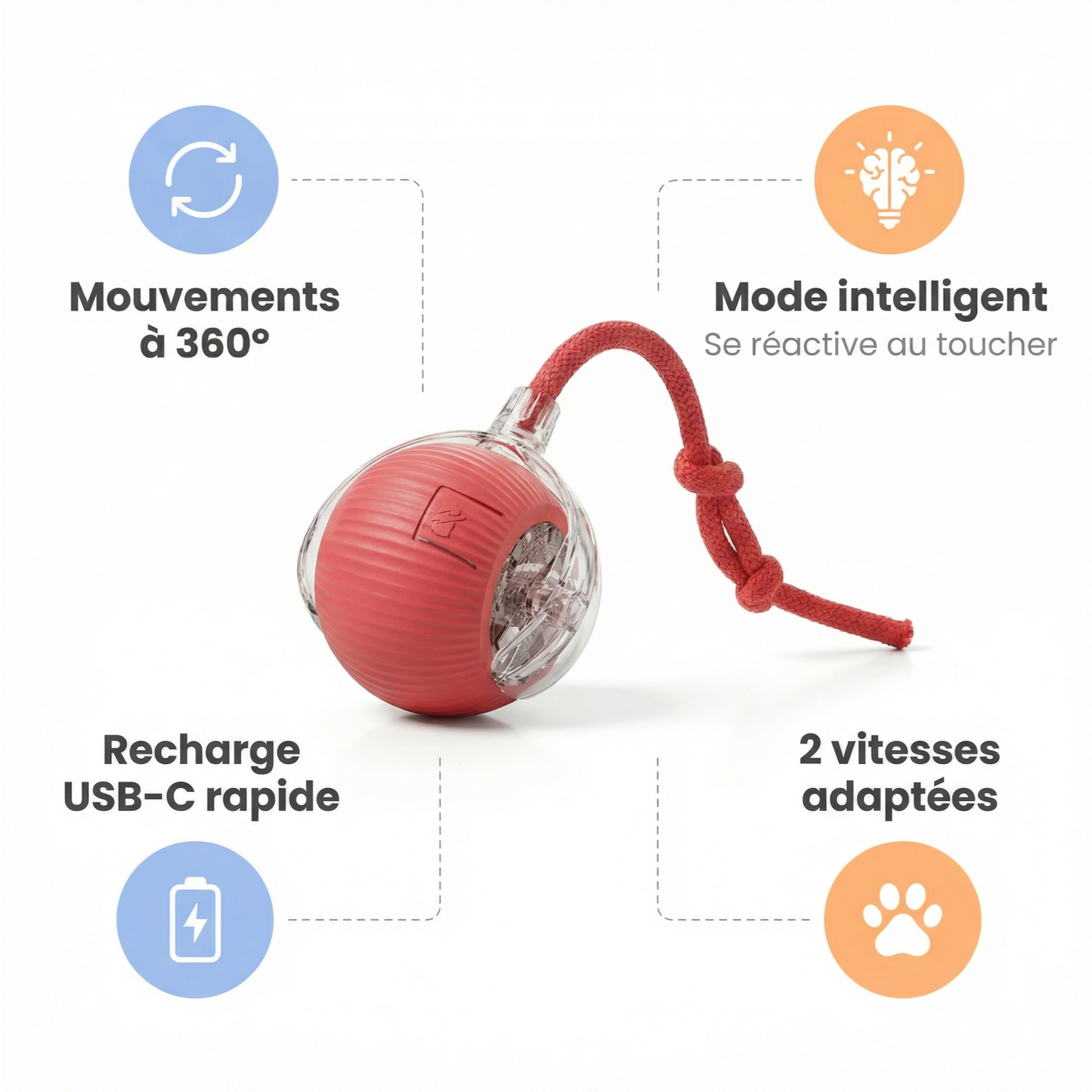 Balle Interactive Pour Chat/Chien