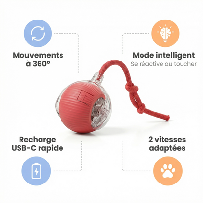 Balle Interactive Pour Chat/Chien