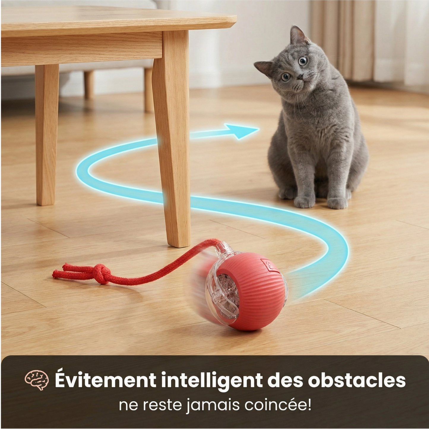 Balle Interactive Pour Chat/Chien